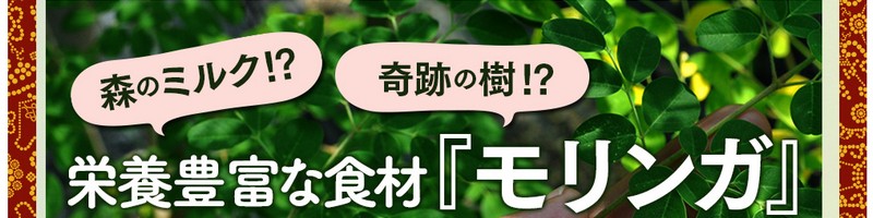 �������K�̐`���T�C�g